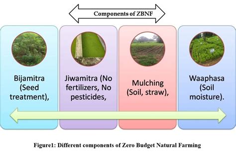  「Zero Budget Natural Farming」: インドの伝統知恵が織りなす、自然と共生する農業の美学